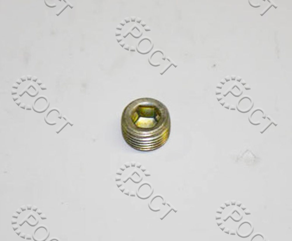 Пробка крышки гидронатяжителя дв.ЗМЗ-405, 406, 409 М10х1 КГ 1/8"