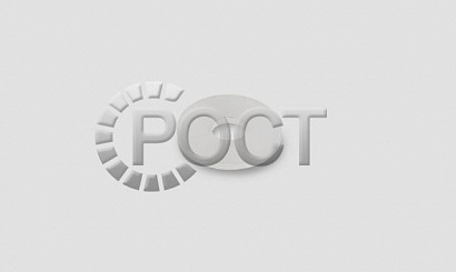 Прокладка гидронатяжителя цепи дв. ЗМЗ-405, 406, 409