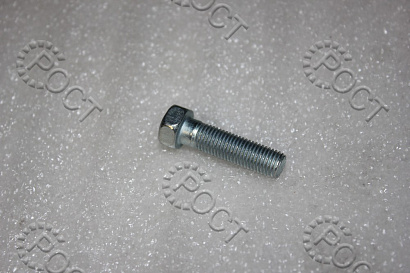 Болт М 8х1х30 буфера открывания двери боковой