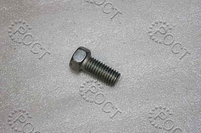 Болт М10х22