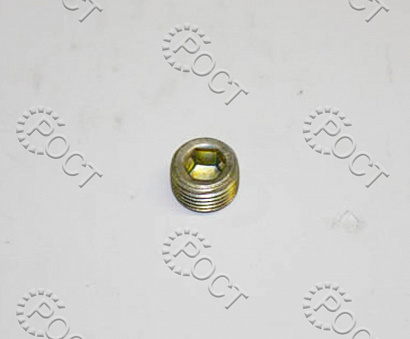 Пробка крышки гидронатяжителя дв.ЗМЗ-405, 406, 409 М10х1 КГ 1/8"